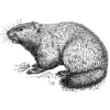 Thumbnail for version as of 22:15, 10 April 2026