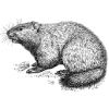 Thumbnail for version as of 22:09, 10 April 2026