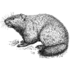 Thumbnail for version as of 22:14, 10 April 2026